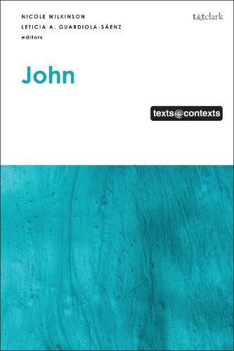 Cover image for John, Texts @ Contexts