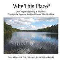 Cover image for Why This Place?: The Chequamegon Bay & Beyond-Through the Eyes and Hearts of People Who Live Here