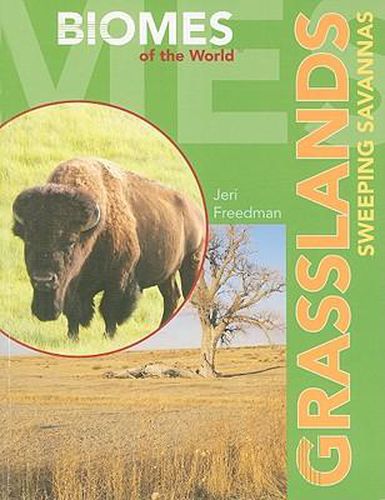 Grasslands: Sweeping Savannas