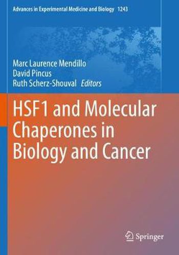 Cover image for HSF1 and Molecular Chaperones in Biology and Cancer