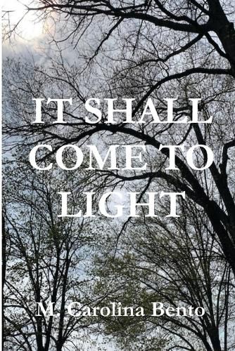 Cover image for It Shall Come to Light