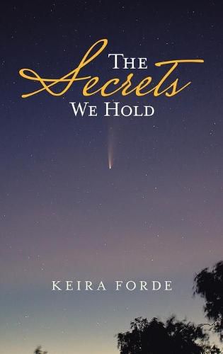 Cover image for The Secrets We Hold