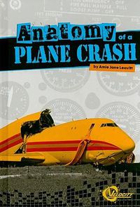 Cover image for Anatomy of a Plane Crash