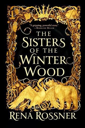 Cover image for The Sisters of the Winter Wood