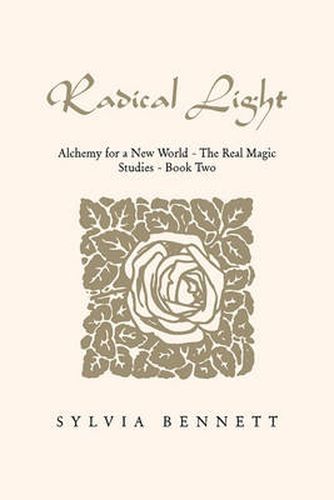 Cover image for Radical Light