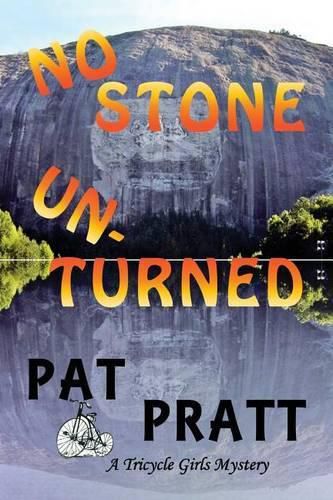 Cover image for No Stone Unturned