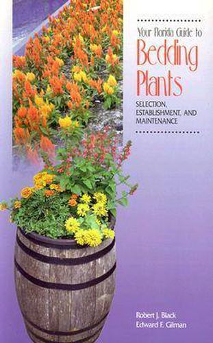 Cover image for Your Florida Guide to Bedding Plants