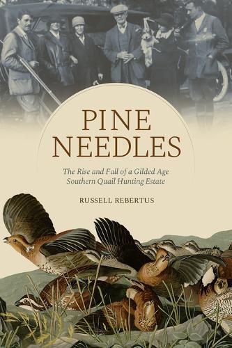 Cover image for Pine Needles
