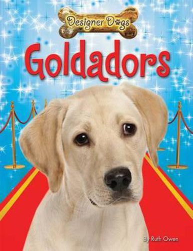 Cover image for Goldadors