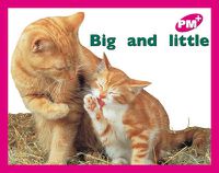 Cover image for Big and little