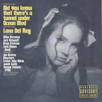 Cover image for Did You Know That There’s a Tunnel Under Ocean Blvd (Vinyl)