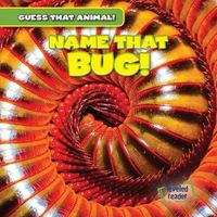 Cover image for Name That Bug!