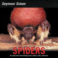 Cover image for Spiders