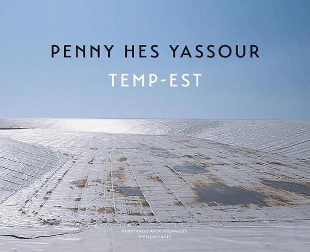 Cover image for Penny Hes Yassour - Temp-Est
