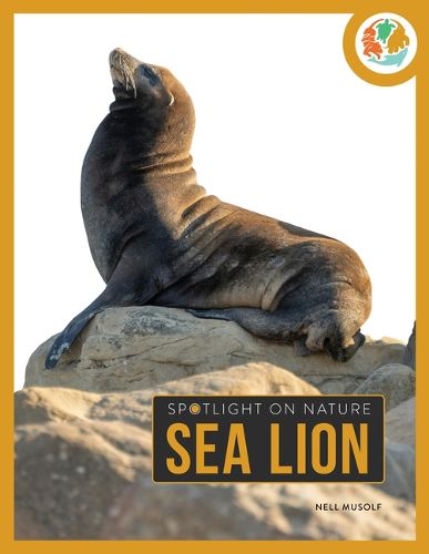 Cover image for Sea Lion