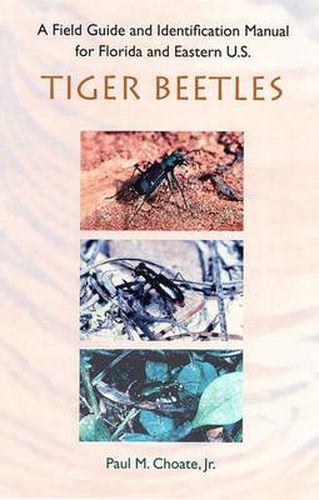 Cover image for A Field Guide and Identification Manual for Florida and Eastern U.S. Tiger Beetles