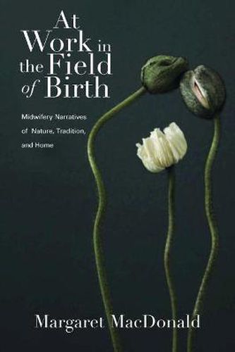 Cover image for At Work in the Field of Birth: Midwifery Narratives of Nature, Tradition, and Home