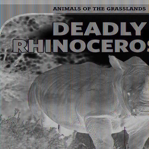 Deadly Rhinoceroses