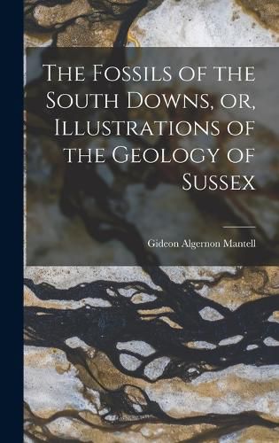 The Fossils of the South Downs, or, Illustrations of the Geology of Sussex