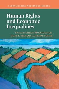 Cover image for Human Rights and Economic Inequalities