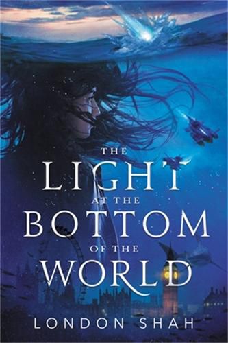 Cover image for The Light at the Bottom of the World