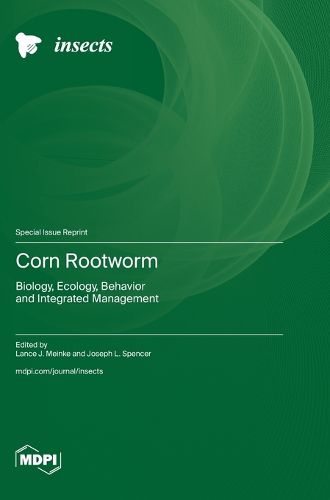 Corn Rootworm