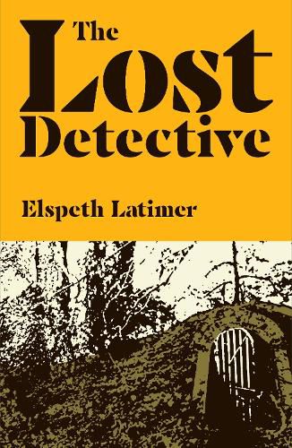 Cover image for The Lost Detective