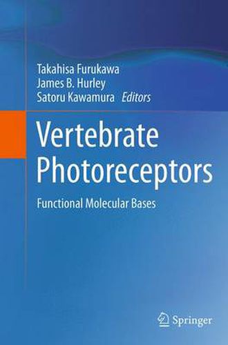 Cover image for Vertebrate Photoreceptors: Functional Molecular Bases