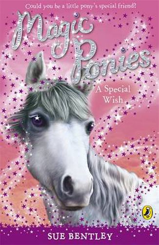 Cover image for Magic Ponies: A Special Wish