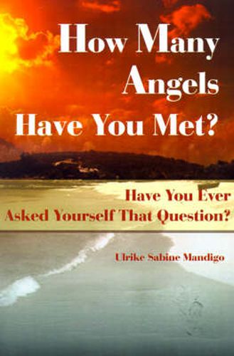 Cover image for How Many Angels Have You Met?: Have You Ever Asked Yourself That Question?