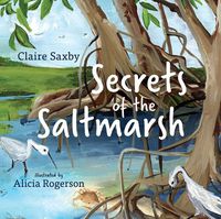 Cover image for Secrets of the Saltmarsh