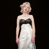 Cover image for The Essential Marilyn Monroe: Milton H. Greene: 50 Sessions