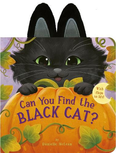 Cover image for Can You Find the Black Cat?