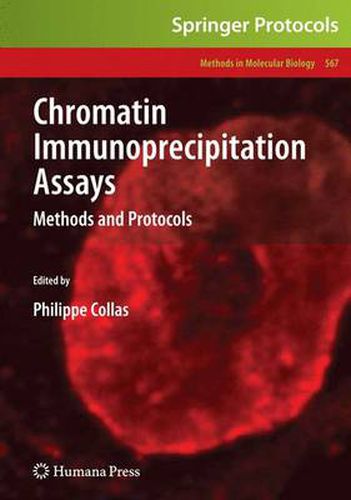 Cover image for Chromatin Immunoprecipitation Assays: Methods and Protocols