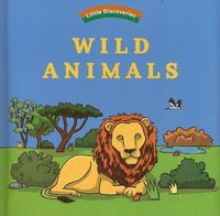 Cover image for Little Discoveries: Wild Animals