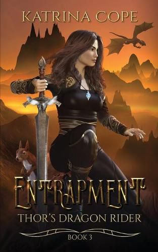 Cover image for Entrapment