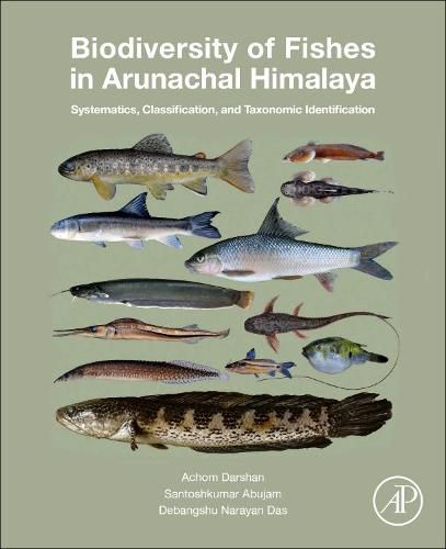 Cover image for Biodiversity of Fishes in Arunachal Himalaya: Systematics, Classification, and Taxonomic Identification