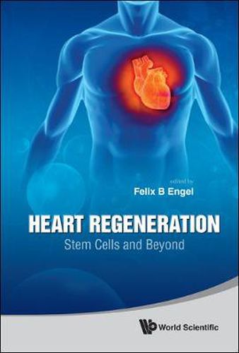 Cover image for Heart Regeneration: Stem Cells And Beyond