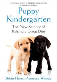 Cover image for Puppy Kindergarten
