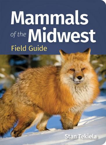 Cover image for Mammals of the Midwest Field Guide
