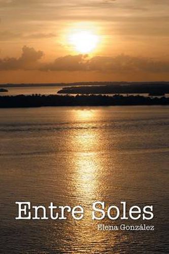 Cover image for Entre soles