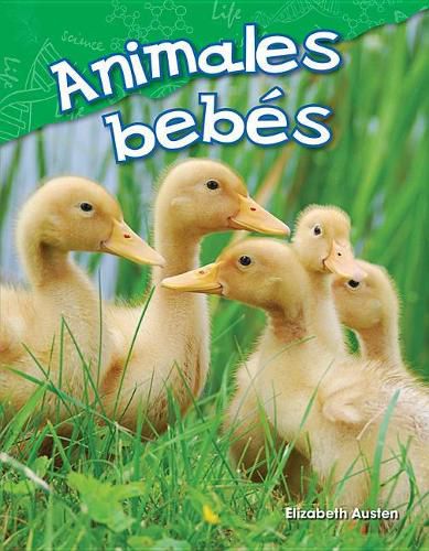 Cover image for Animales bebes (Baby Animals)