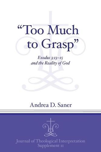 Cover image for Too Much to Grasp: Exodus 3:13-15 and the Reality of God