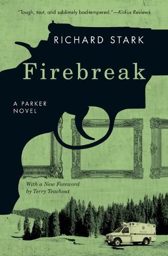 Cover image for Firebreak