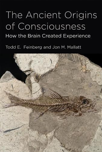 The Ancient Origins of Consciousness: How the Brain Created Experience