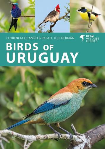 Cover image for Birds of Uruguay