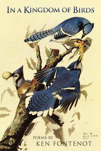 Cover image for In a Kingdom of Birds