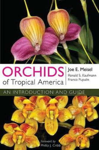 Cover image for Orchids of Tropical America: An Introduction and Guide