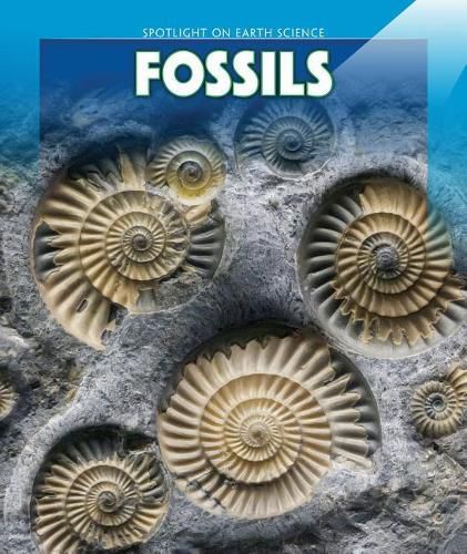 Cover image for Fossils