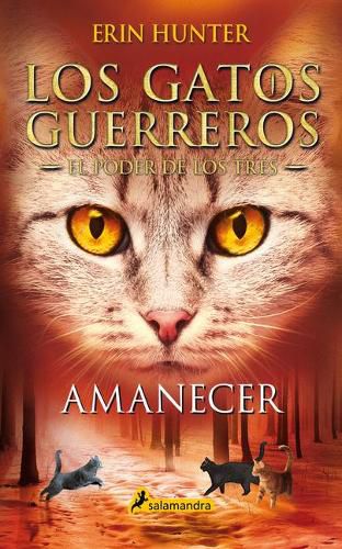 Cover image for Amanecer / Sunrise